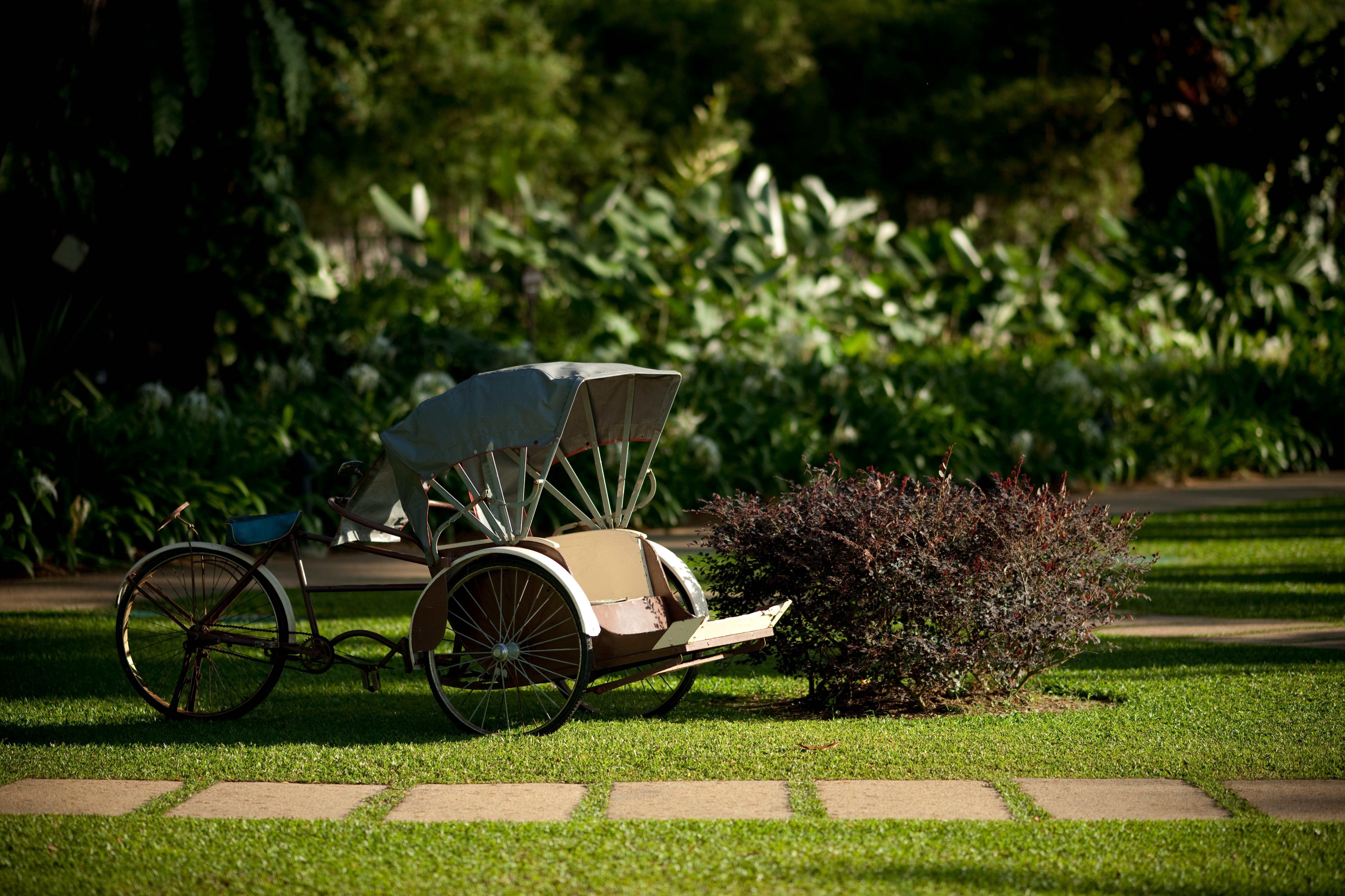 Shangri-La Rasa Sayang, Penang Batu Feringgi Exterior foto Rickshaw in the gardens