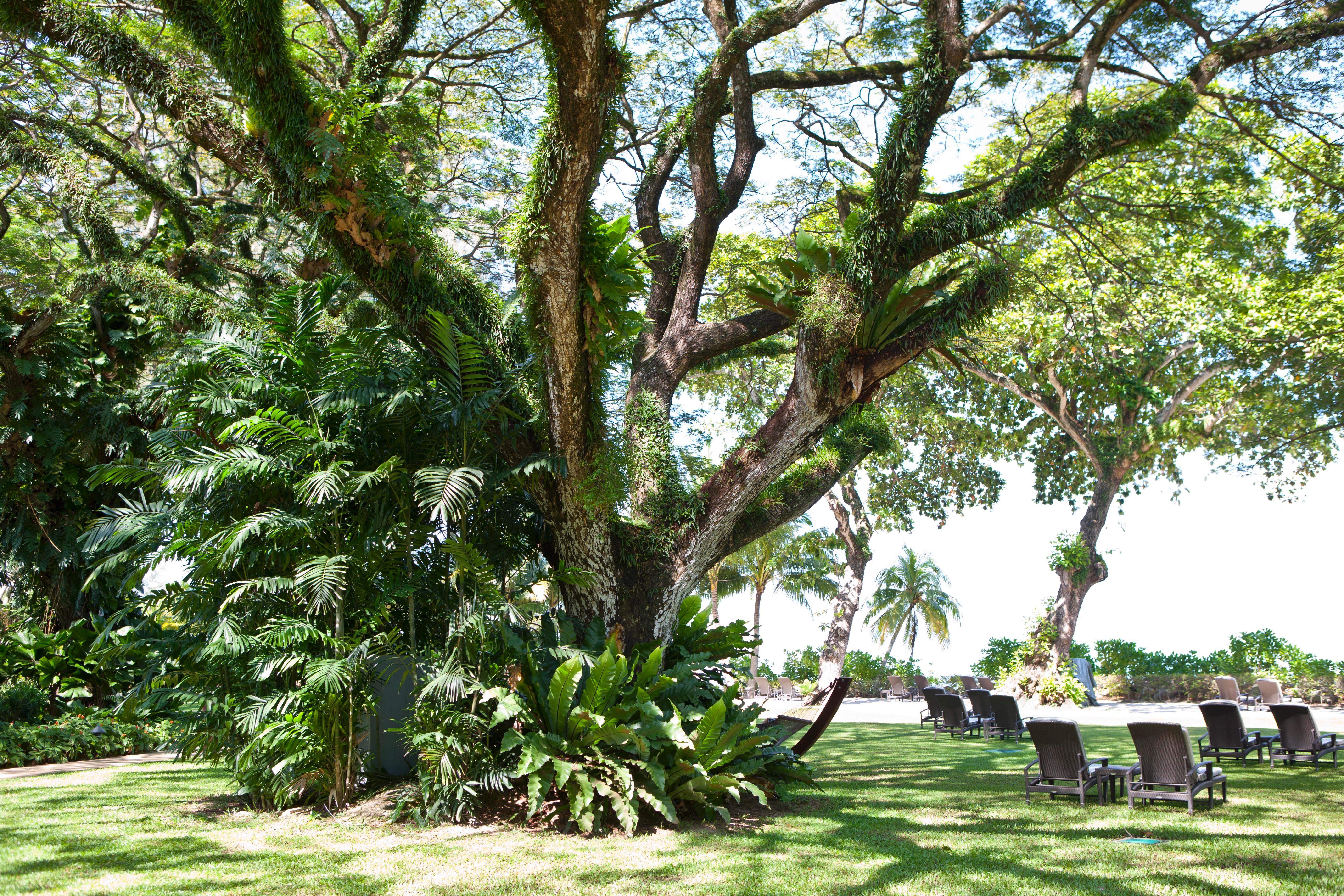 Shangri-La Rasa Sayang, Penang Batu Feringgi Exterior foto The gardens of the hotel